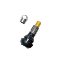Valva auto cromata tip TR413 compatibila jante standard