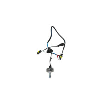 Bec instalatie xenon 55W H1 H7 H11 6000K 8000K